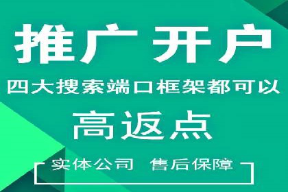 信息流广告投放公司案例深度剖析